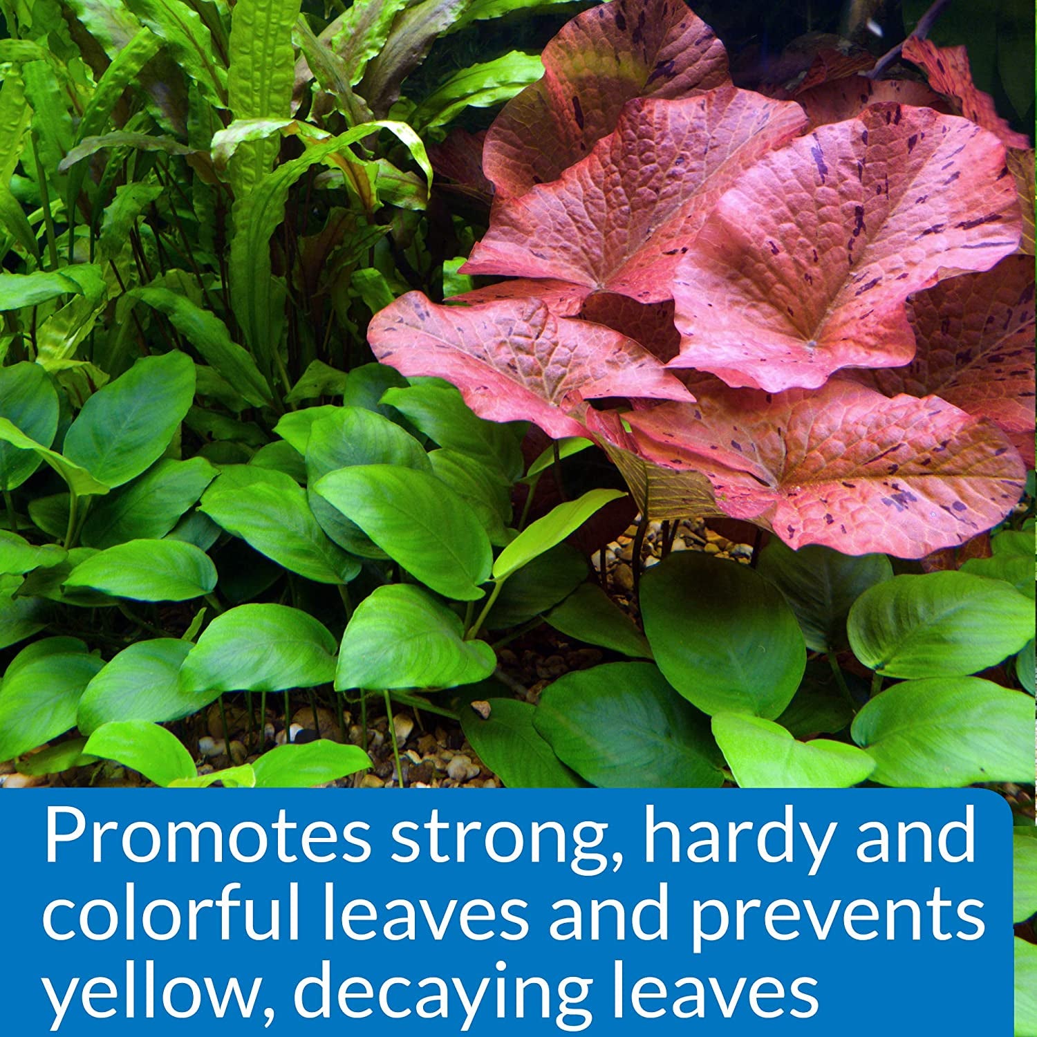 LEAF ZONE Freshwater Aquarium Plant Fertilizer 8-Ounce Bottle