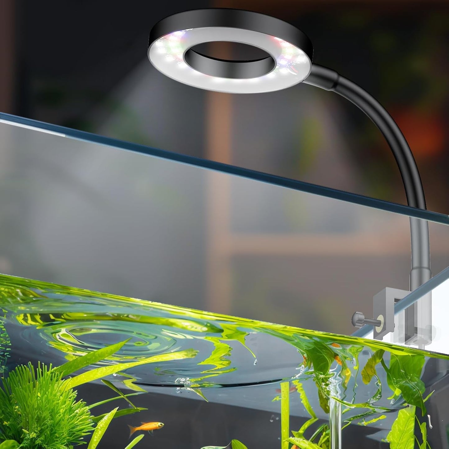 6 W LED Aquarium Light for 1 to 5 Gallon Fish Tanks Clip on Fish Tank Light USB Moving Aquarium Lamp with Full Spectrum Dimmable White Blue Red Green Lights with Timer (Adapter Not Included)