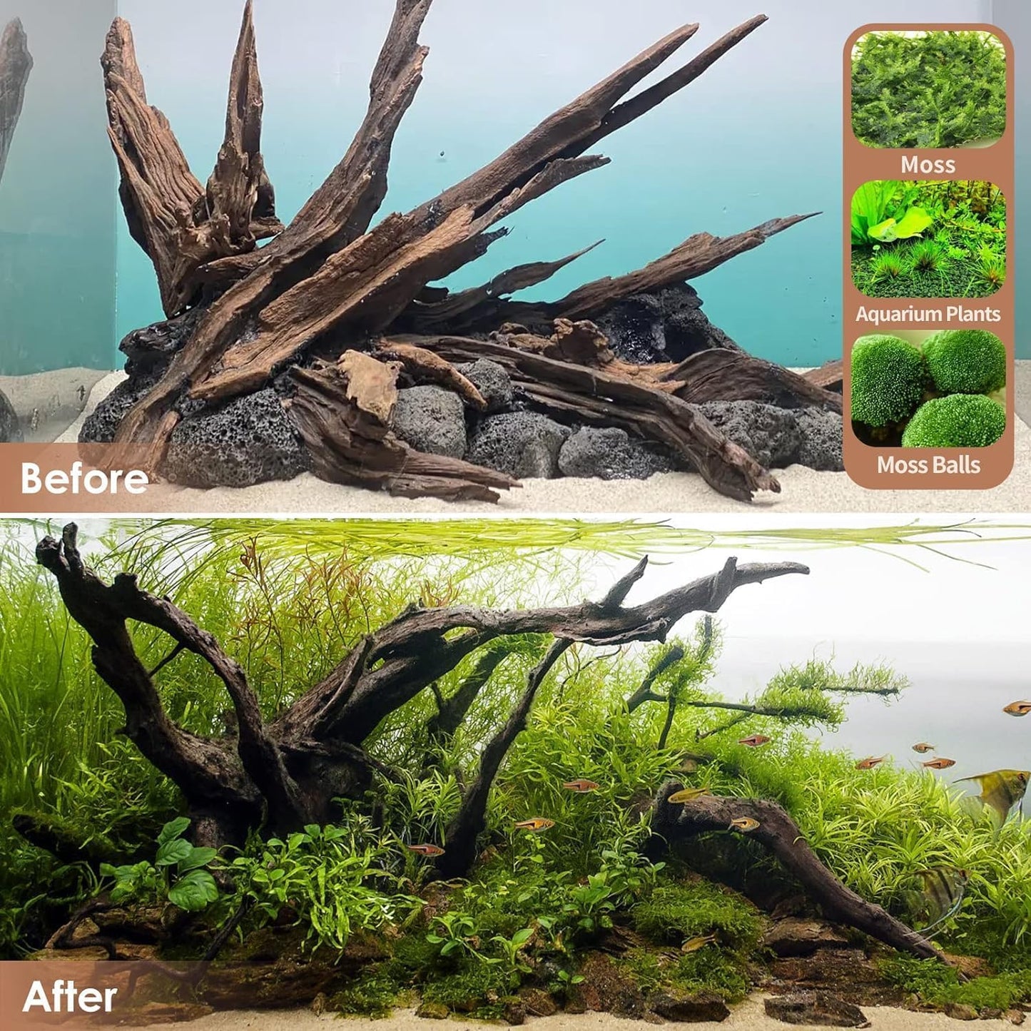 Natural Small Aquarium Driftwood for Fish Tanks & Reptile Terrariums – Safe Fish Tank Decorations, Unique Twisted Branches 10-Piece 2-4 Inch Low Tannin, Easy to Sink